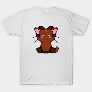 Aries T-Shirt